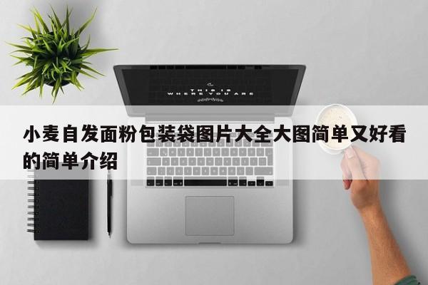 小麦自发面粉包装袋图片大全大图简单又好看的简单介绍