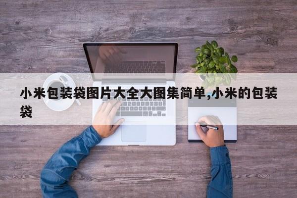 小米包装袋图片大全大图集简单,小米的包装袋