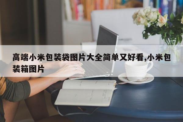 高端小米包装袋图片大全简单又好看,小米包装箱图片